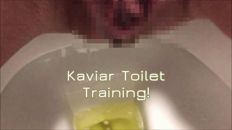 Kaviar Toilet Training