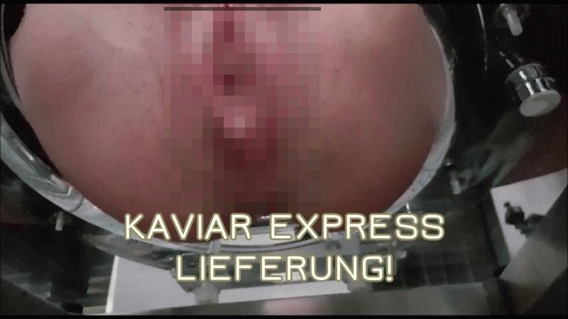 Kaviar Express Lieferung