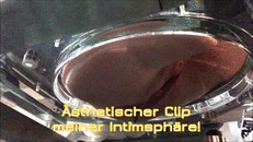 8 KV Clips
