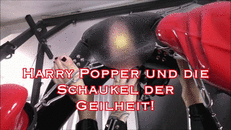 Harry P. und die Schaukel der Geilheit